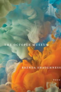 Book by Brenda Shaughnessy